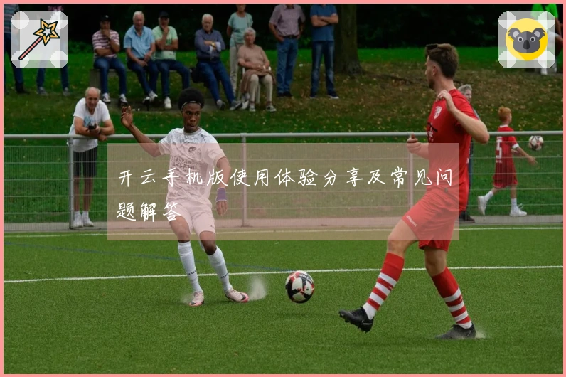 开云手机版使用体验分享及常见问题解答